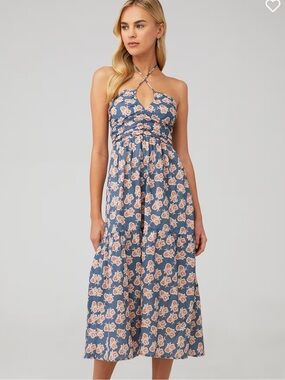 Bishop + Young Aeries Halter Dress